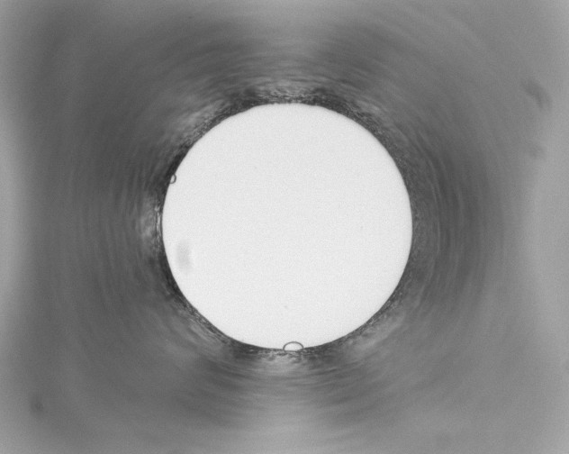 X0000114510624200911301149