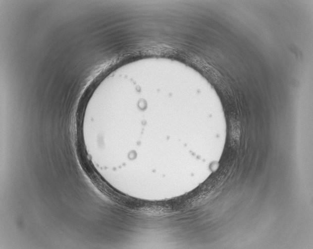 X0000114510630200911301149