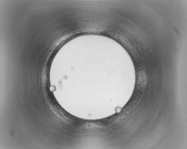 X0000114510632200911301149