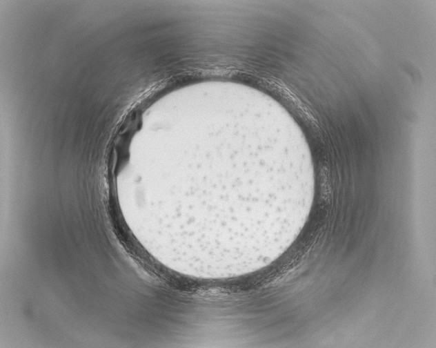 X0000114510634200911301149