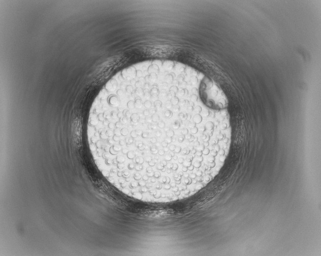 X0000114510646200911301149