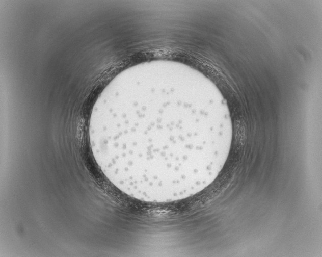 X0000114510650200911301149