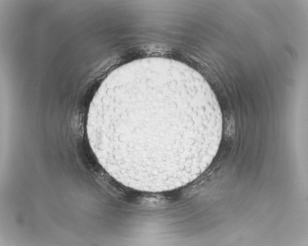 X0000114510666200911301149