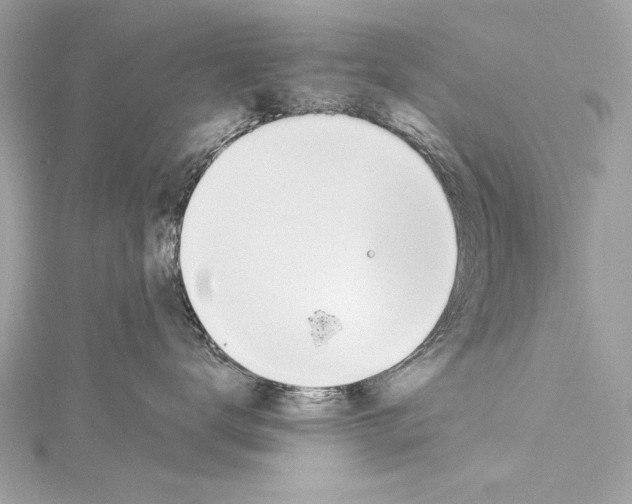 X0000114510672200911301149