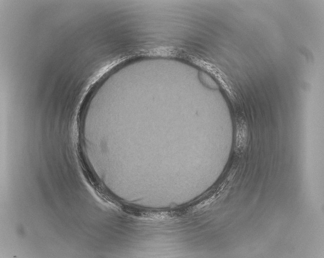 X0000114510674200911301149