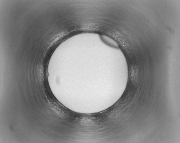 X0000114510684200911301148