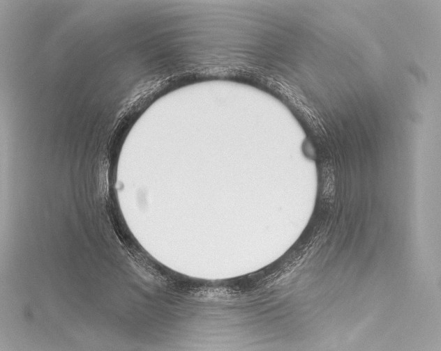 X0000114510685200911301148