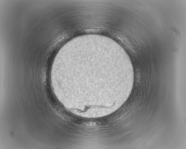 X0000114510687200911301148