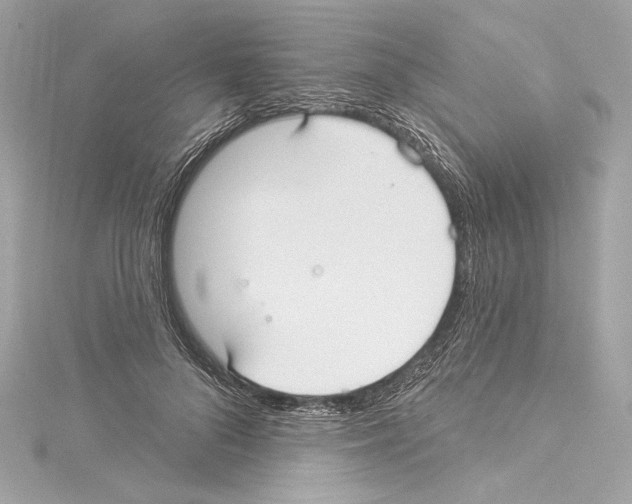 X0000114510696200911301148