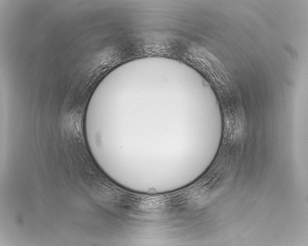 X0000114510705200911301148