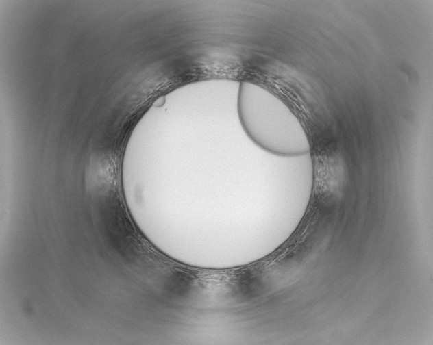 X0000114510713200911301148