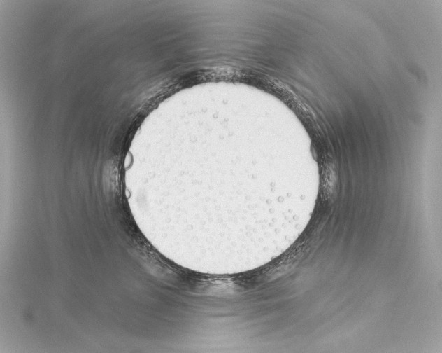 X0000114510715200911301148