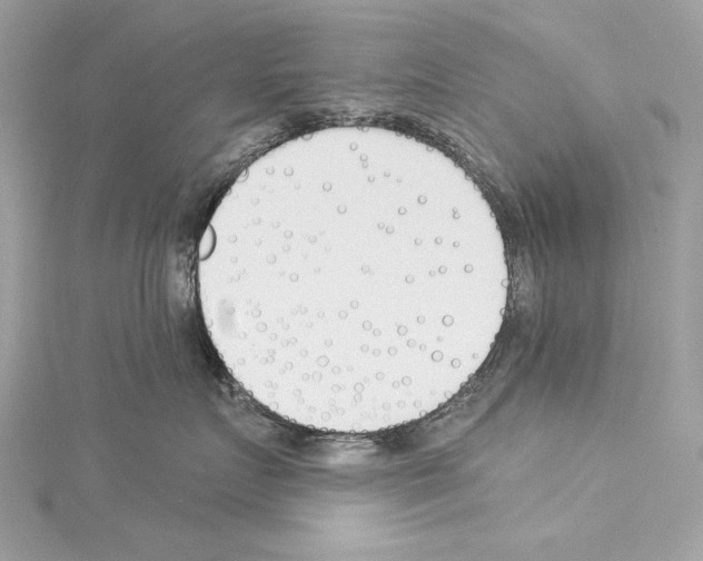 X0000114510719200911301148