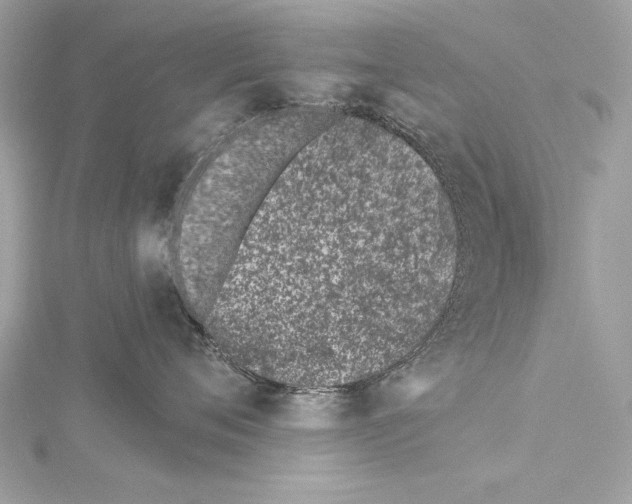 X0000114510720200911301148