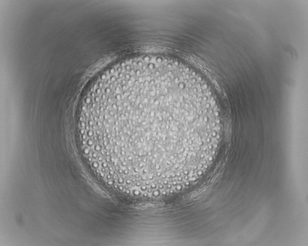 X0000114510721200911301147