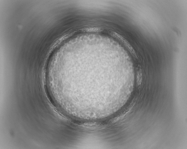 X0000114510725200911301147