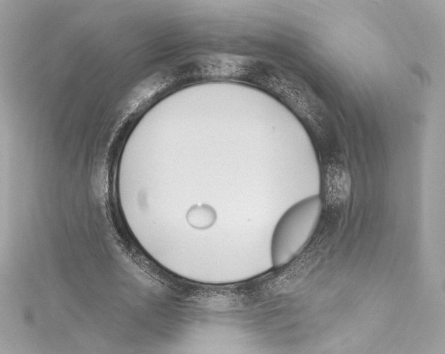 X0000114510726200911301147