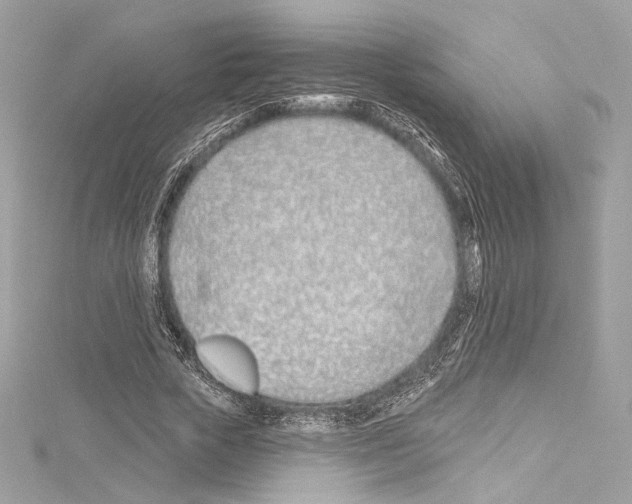 X0000114510729200911301147