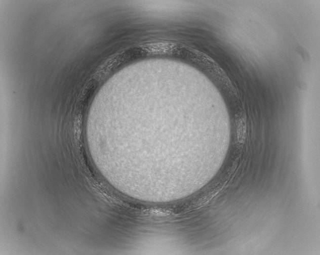 X0000114510737200911301147