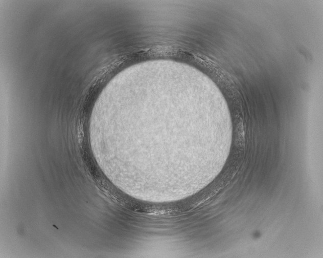 X0000114510746200911301147