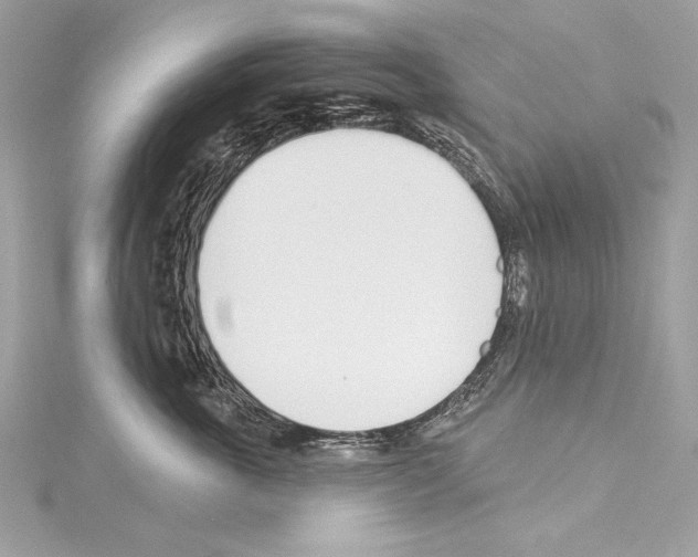 X0000114510763200911301148