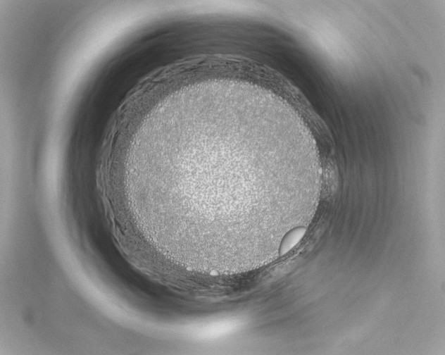 X0000114510765200911301148