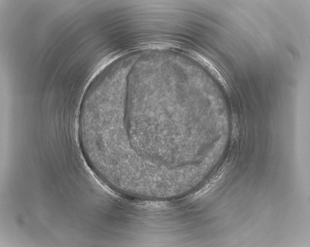 X0000114510802200911301147