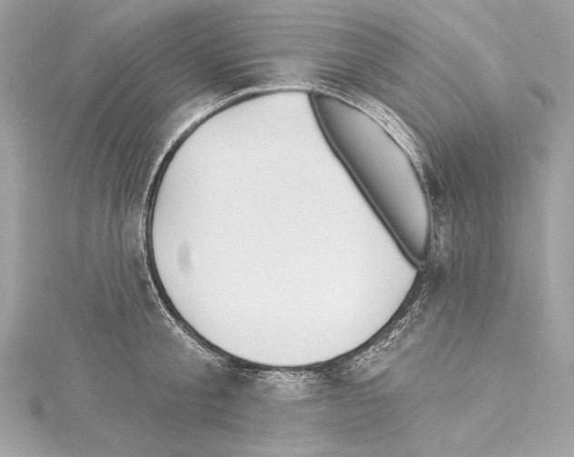 X0000114510805200911301147