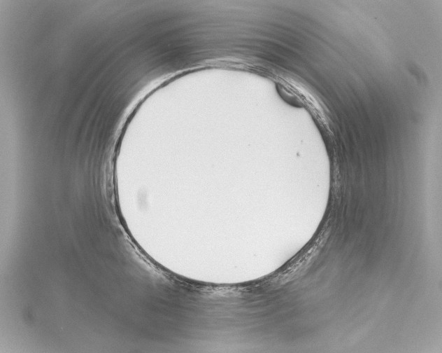 X0000114510808200911301147