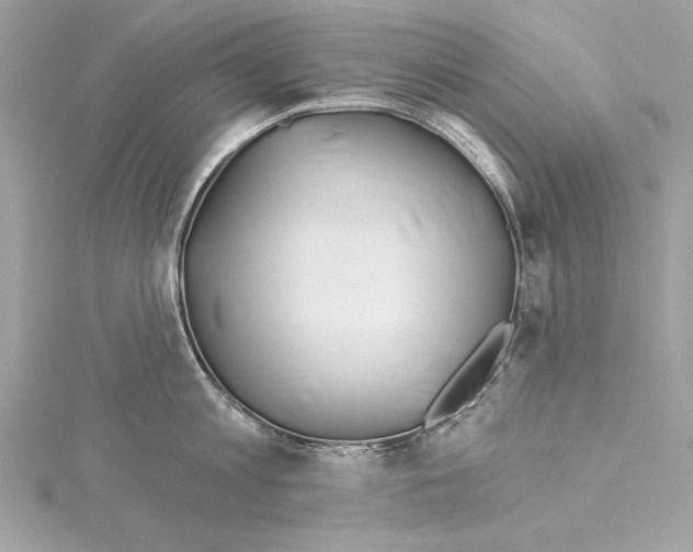 X0000114510813200911301146