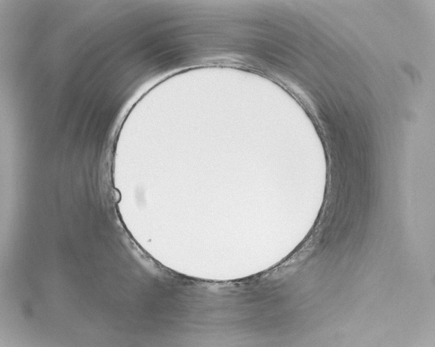 X0000114510816200911301146