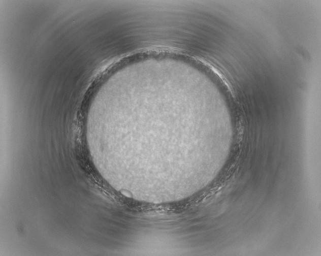 X0000114510823200911301146