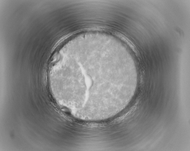 X0000114510829200911301146