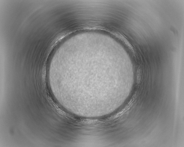 X0000114510831200911301146