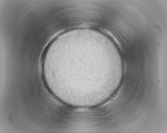 X0000114510835200911301146