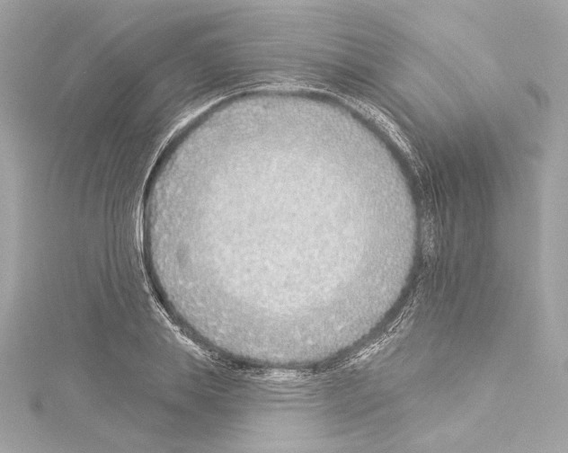 X0000114510839200911301146