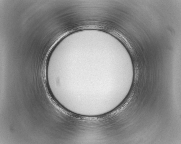 X0000114510844200911301146