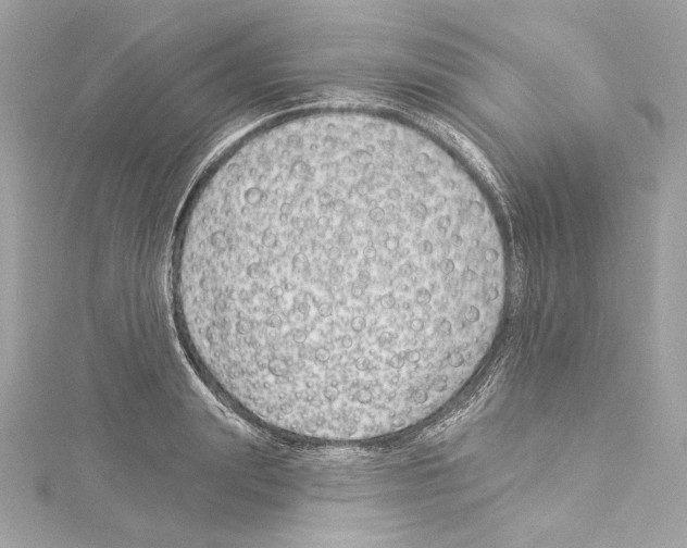 X0000114510847200911301146