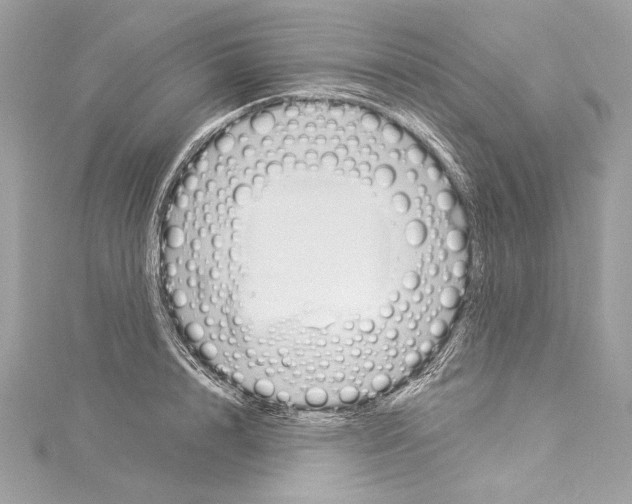 X0000114510848200911301146