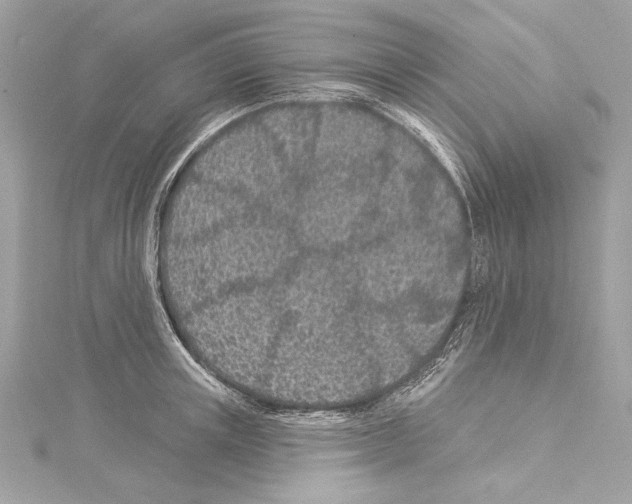 X0000114510851200911301146