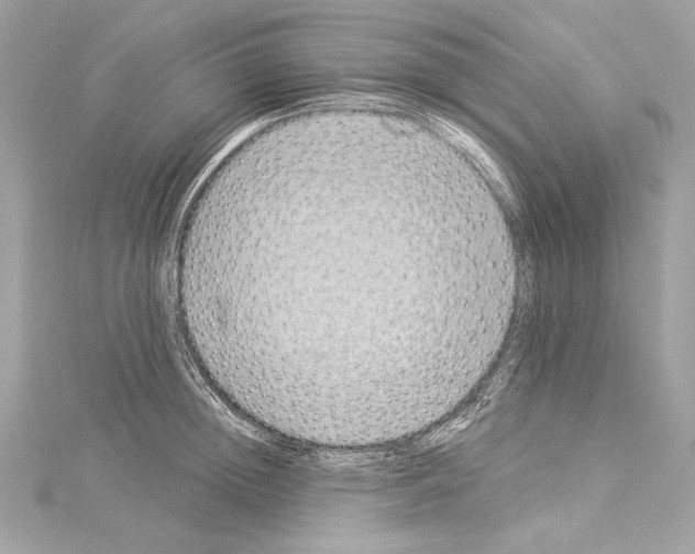 X0000114510852200911301146