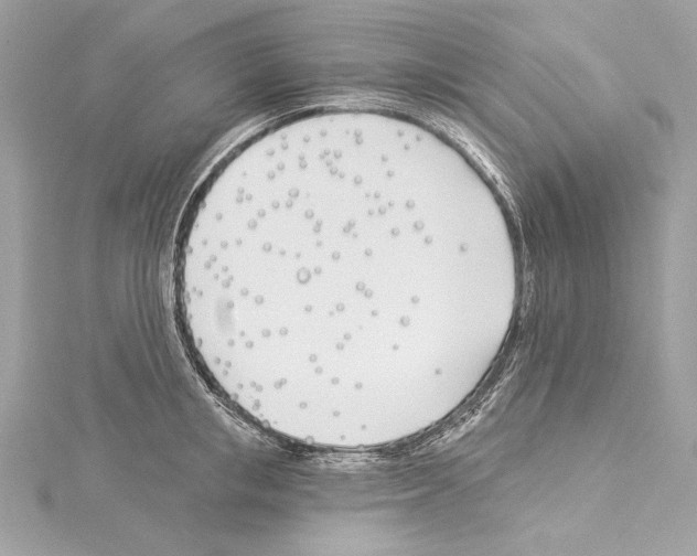 X0000114510853200911301146