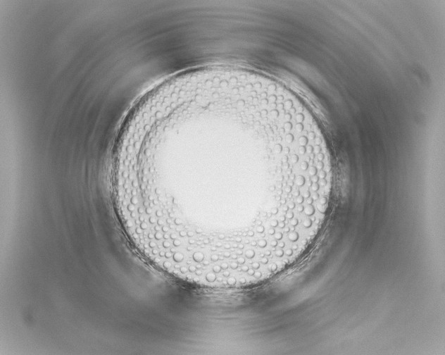 X0000114510856200911301146