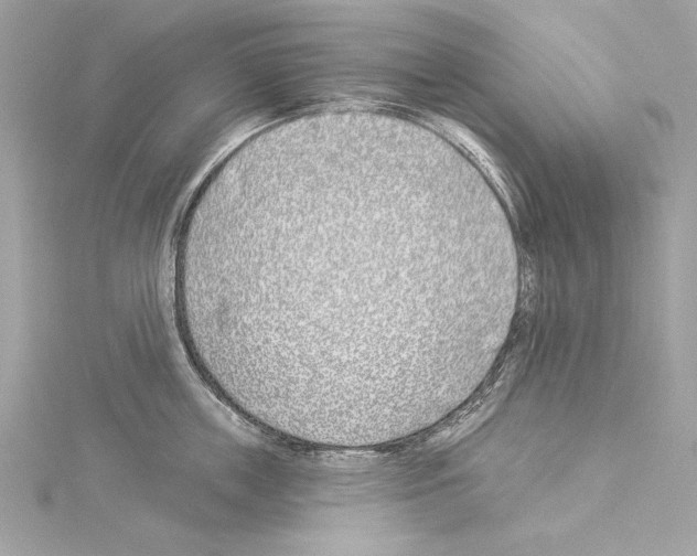 X0000114510859200911301146