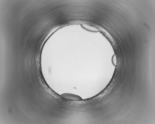 X0000114510860200911301146