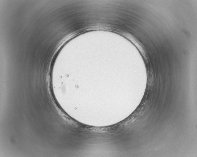 X0000114510861200911301146