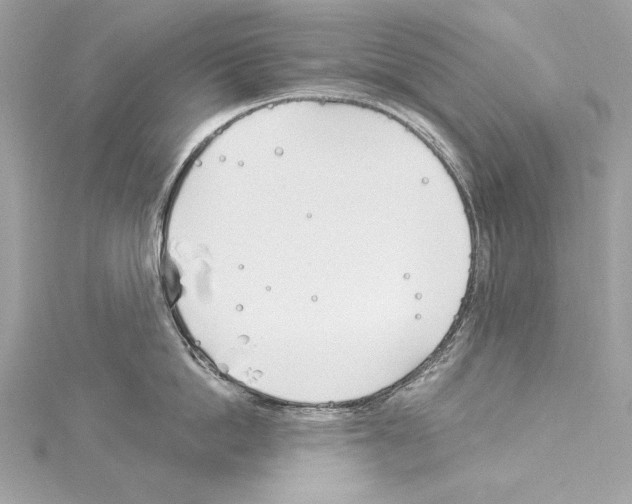 X0000114510862200911301146