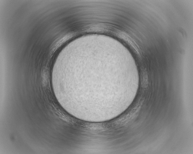 X0000114510874200911301146