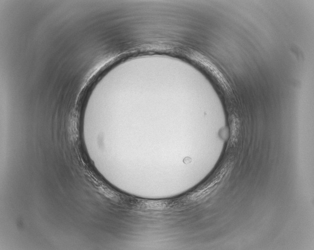 X0000114510878200911301146