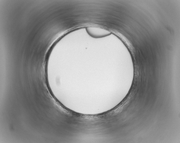 X0000114510910200911301145